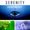 Nature and Rain - Serenity Nature