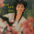 王红涛 - 到底人间欢乐多