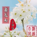 王帅帅 - 梨花雨