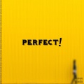 MCHALE - Perfect! (Explicit)