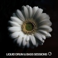 Macca、Loz Contreras - Better World (Lenzman Remix)