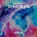 Chumpion、Ido - Got What You Need