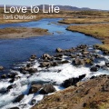 Torfi  Olafsson - Love to Life
