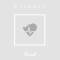Essence、Roiael - broken promises