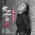 雨中百合 - 爱已成回忆