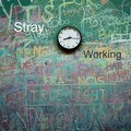 Stray - Working