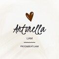 Liam - Antonella
