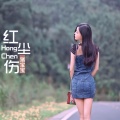 猪宝宝 - 红尘伤
