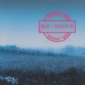 时昊 - 像花一年的年华