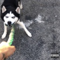 Lil Darkie、am. - WET (Explicit)