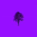 xodante、EVER、Spencer - cast me out to sea (Explicit)