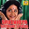 mg sreekumar、Chithrakala - Sringara Krishna Varoo