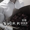 安瑾、宇天齐 - 不为谁而做的歌