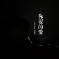 王远 - 你要的爱