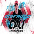 Cali Guaracumbiero、Dj Luis Nieto、Mudo Mix - Disfruto