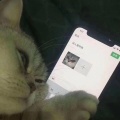 黒迷网友、懵aa - 叮叮梆梆