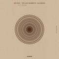 Nir Yooz - The Last Mammoth