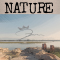 D-Dawn(丁天亮) - Nature