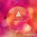 Rick Stones - I'll Be Your High (Extended Mix)