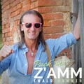 Ewald Hammer - Pack' ma z'amm