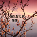 翻翻 - 如果你爱我