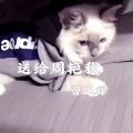 曹正祥 - 送给周艳秋