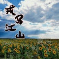 嘉辰 - 戎马江山