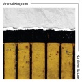 Animal Kingdom - Shiver