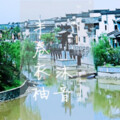 向葵Elodie - 半卷衣袖