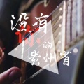 浪子涛少 - 没有你的贵州省