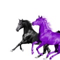 Seoul Town Road (feat. RM of BTS)(Old Town Road Remix)