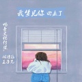 林诗涵、MC王子光 - 我梦见你回来了