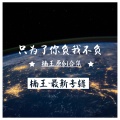 楠王 - 容颜