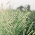 Serenity Nature Sounds Academy - Spirit Free