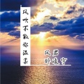 风君、醉凌宇 - 风吹不散你温柔