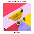 Roy Orion、Blackcode - Nirvana