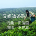 田信国 - 又唱请茶歌 (标准版)