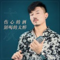 大欢 - 伤心的酒别喝的太醉