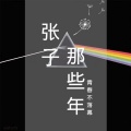 dj张子 - 多年以后 (DJ版)