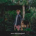 Monto - Home