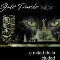 GATO PARDO R、bqスタヂオ - Gato Pardo