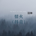 羽神 - 情火