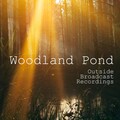 Woodland Pond