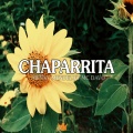 Chaparrita (Explicit)