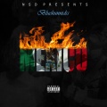 BlueHunnidss - Mexico (Explicit)