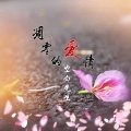 空白先生 - 凋零的爱情