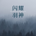 羽神 - 闪耀