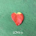 Lov - When Heart Is Not Enogh