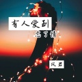 风君 - 有人爱到忘了情
