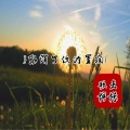 歌者柠檬 - 取消了你的置顶